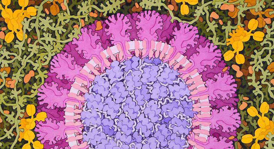 Scripps Research scientists tackle COVID-19 coronavirus pandemic from many angles