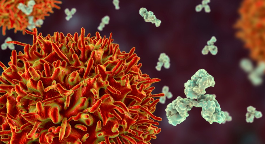 Versatile coronavirus antibody may be starting point for broader-acting vaccines