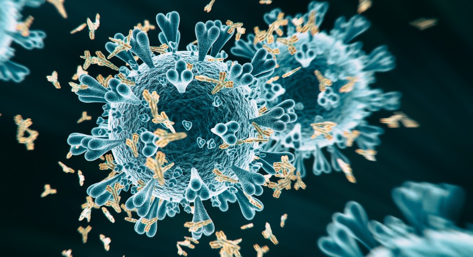 Scientists reveal structural details of how SARS-CoV-2 variants escape immune response